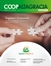 REVISTA INFORMATIVA - JUNIO 2026